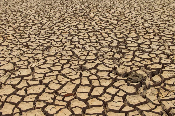 Texture Des Terres Arides Thaïlande Pénurie Mondiale Eau Sur Planète — Photo