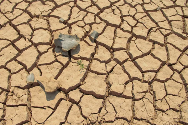 Texture Des Terres Arides Thaïlande Pénurie Mondiale Eau Sur Planète — Photo