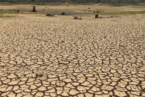 Trama Terra Siccità Thailandia Carenza Globale Acqua Sul Pianeta Concetto — Foto Stock