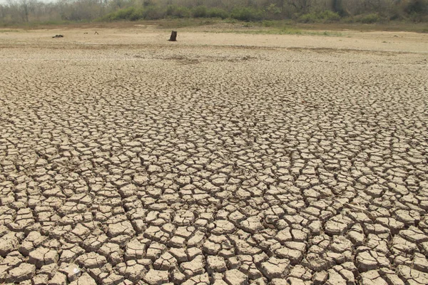 Struktura Sucha Thajsku Celosvětový Nedostatek Vody Planetě Koncept Globálního Oteplování — Stock fotografie