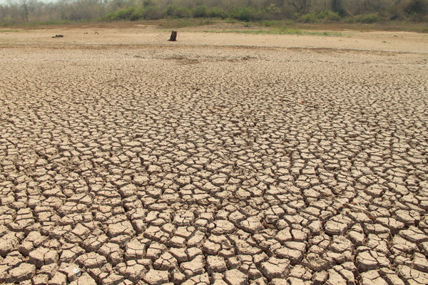 The drought land texture in Thailand. The global shortage of water on the planet. Global warming and greenhouse effect concept.