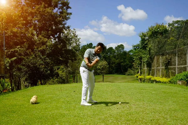 Golfer playing golf in the evening golf course, on sun set evening time. Man playing golf on a golf course in the sun.