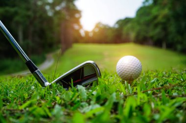 Golf topu yeşil çimlerin üzerinde golf sahasında vurulmaya hazır. Golf sopaları ve golf topları yeşil çimlerde sabah güneşli güzel bir golf sahasında. İlk kısa devrede golfe hazır..                               