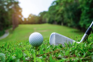  Golf topu yeşil çimlerin üzerinde golf sahasında vurulmaya hazır. Golf sopaları ve golf topları yeşil çimlerde sabah güneşli güzel bir golf sahasında. İlk kısa devrede golfe hazır..                              