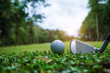 Golf topu yeşil çimlerin üzerinde golf sahasında vurulmaya hazır. Golf sopaları ve golf topları yeşil çimlerde sabah güneşli güzel bir golf sahasında. İlk kısa devrede golfe hazır..                               