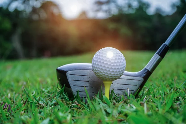 緑の芝生の上でゴルフボールゴルフコースの背景に打たれる準備ができて 朝の日差しが美しい美しいゴルフコースで緑の芝生の上のゴルフクラブやゴルフボール 最初にゴルフの準備ができている — ストック写真