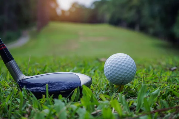 Golfboll Grönt Gräs Redo Att Slås Golfbana Bakgrund Golfklubbar Och — Stockfoto