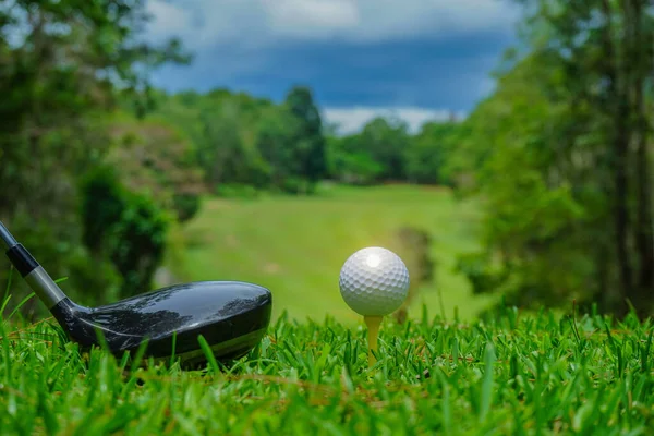 Golf ball on tee and golf club in a beautiful golf course with morning sunshine.  Ready for golf in the first short. Sports that people around the world play during the holidays for health.