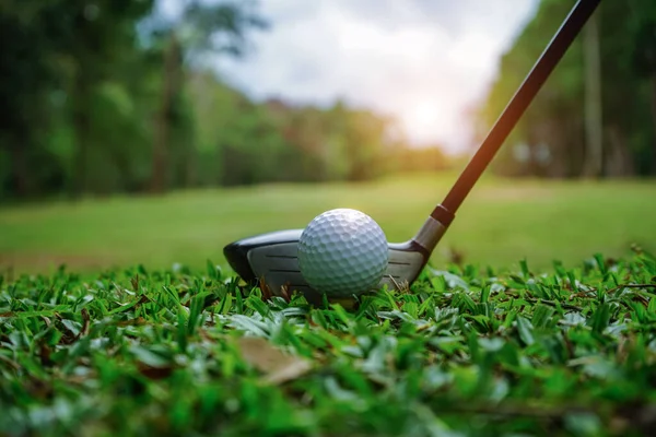 Golf ball on green grass ready to be struck on golf course background. Golf clubs and golf balls on a green lawn in a beautiful golf course with morning sunshine. Ready for golf in the first short.