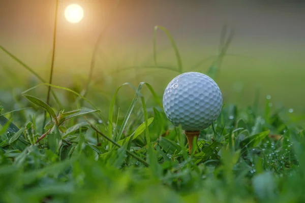 Zbliżenie Piłka Golfowa Tee Gotowy Strzału Piłka Golfowa Tee Wieczornym — Zdjęcie stockowe