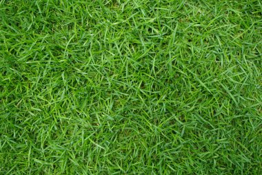 Yapay Çimen Alanı Üst Görünüm Dokuları. Yeşil çimen dokusu. Kopyalama alanı olan üst görünüm.                               