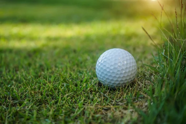 ゴルフ場の背の高い草の近くに白いゴルフボールの場所ラフ ゴルフボールは朝の日差しと美しいゴルフコースの緑の芝生の上にあります — ストック写真