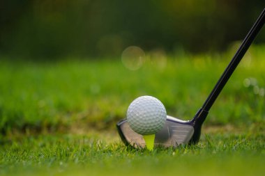 Golf sopası ve golf topu sabah güneşiyle çim tarlasına yakın. İlk kısa devrede golfe hazır..                               