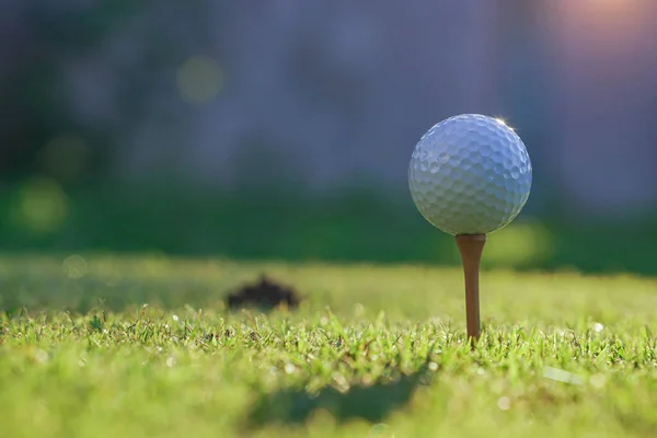 Golf Ball Tee Ready Play Beautiful Golf Course Morning Sunshine — Stock Photo, Image