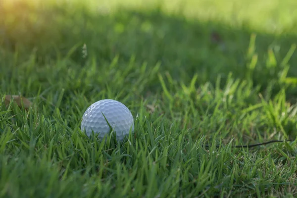 Piłka Golfowa Zielono Wieczornym Polu Golfowym Słońcem Biała Piłka Golfowa — Zdjęcie stockowe