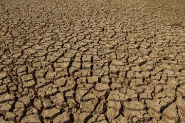 Tayland 'daki kurak arazi dokusu. Kuru, çatlamış toprak ya da gün batımında kuraklık sırasında toprak. Gezegendeki küresel su sıkıntısı. Küresel ısınma ve sera etkisi kavramı.