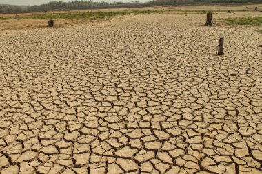 Tayland 'daki kurak arazi dokusu. Kuru, çatlamış toprak ya da gün batımında kuraklık sırasında toprak. Gezegendeki küresel su sıkıntısı. Küresel ısınma ve sera etkisi kavramı.