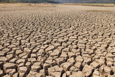 Tayland 'daki kurak arazi dokusu. Kuru, çatlamış toprak ya da gün batımında kuraklık sırasında toprak. Gezegendeki küresel su sıkıntısı. Küresel ısınma ve sera etkisi kavramı.