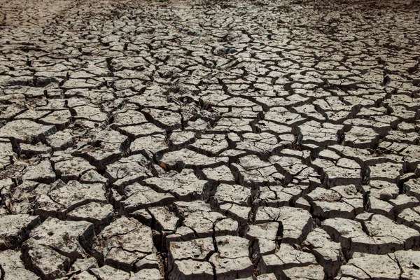 The drought land texture in Thailand. Dry cracked soil dirt or earth during drought at sunset. The global shortage of water on the planet. Global warming and greenhouse effect concept.