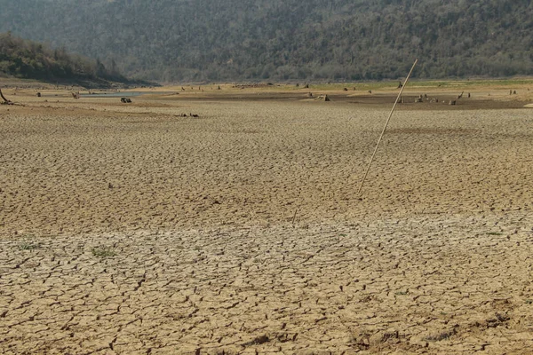 The drought land texture in Thailand. Dry cracked soil dirt or earth during drought at sunset. The global shortage of water on the planet. Global warming and greenhouse effect concept.