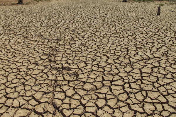 Texture Des Terres Arides Thaïlande Séchage Des Sols Fissurés Terre — Photo