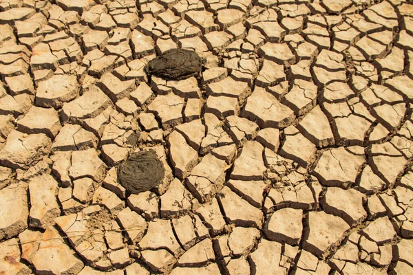 Texture Des Terres Arides Thaïlande Séchage Des Sols Fissurés Terre — Photo