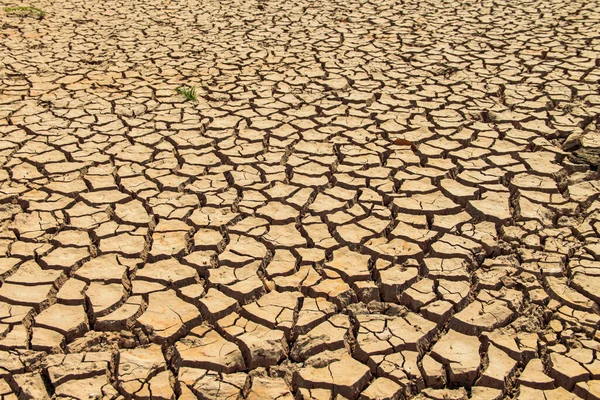 Texture Des Terres Arides Thaïlande Séchage Des Sols Fissurés Terre — Photo