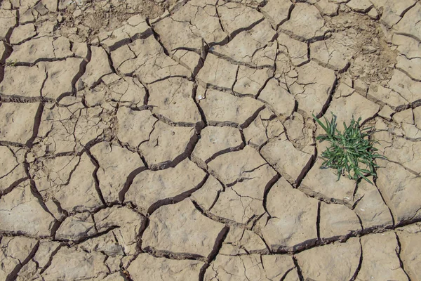 Texture Des Terres Arides Thaïlande Séchage Des Sols Fissurés Terre — Photo