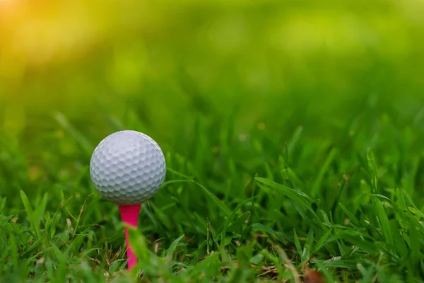 Golfbal Tee Groen Gazon Een Prachtige Golfbaan Met Ochtendzonneschijn Klaar — Stockfoto