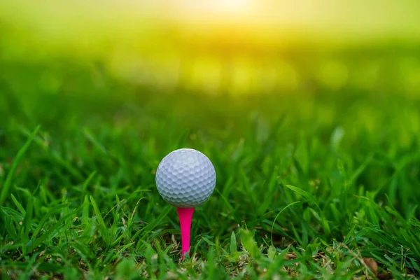 Golf Topu Golf Topu Yeşil Çimlerin Üzerinde Sabah Güneşiyle Güzel — Stok fotoğraf