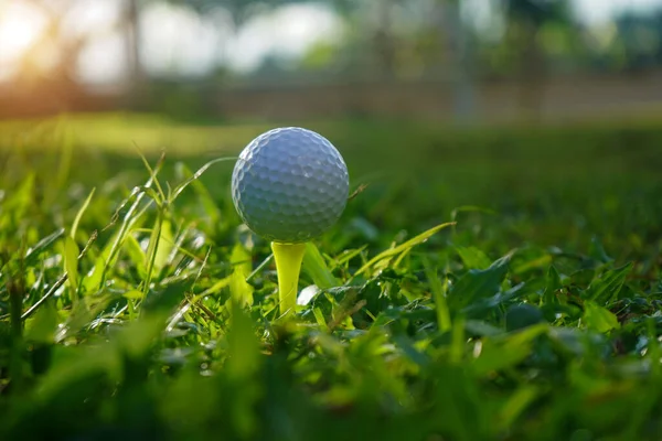 Pelota Golf Tee Hermoso Campo Golf Atardecer Fondo — Foto de Stock