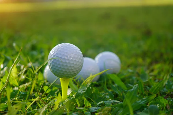Golfbal Tee Prachtige Golfbaan Bij Zonsondergang Achtergrond — Stockfoto