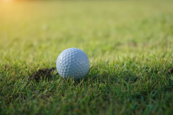 Golfbal Green Met Warme Toon Zonsondergang Golfbal Green Field Golfbaan — Stockfoto