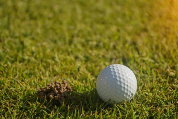 Golfboll Green Med Varm Ton Och Solnedgång Golfboll Green Field — Stockfoto