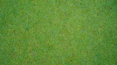 Yeşil çimen arka plan, bahçe manzarası yeşil arka plan yapmak için kullanılan parlak çimen konsepti, spor alanı için çimen, golf sahası yeşil çizgili doku arka plan                               