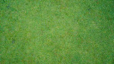 Yeşil çimen arka plan, bahçe manzarası yeşil arka plan yapmak için kullanılan parlak çimen konsepti, spor alanı için çimen, golf sahası yeşil çizgili doku arka plan                               