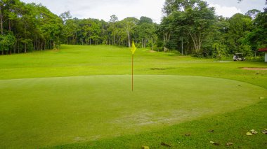 Golf sahasında yeşil çimenler ve ağaçlar. Golf sahasının manzarası ve güzel bir golf sahası. Zengin yeşil çimenlikli golf sahası. Güzel manzara..                                