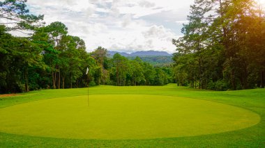 Golf sahasında yeşil çimenler ve ağaçlar. Golf sahasının manzarası ve güzel bir golf sahası. Zengin yeşil çimenlikli golf sahası. Güzel manzara..                                