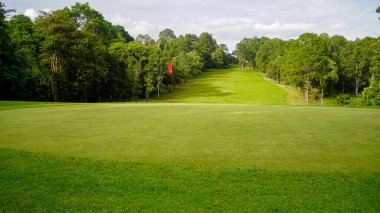 Golf sahasında yeşil çimenler ve ağaçlar. Golf sahasının manzarası ve güzel bir golf sahası. Zengin yeşil çimenlikli golf sahası. Güzel manzara..                                