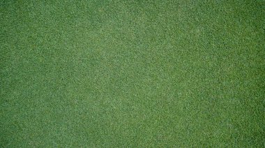 Yeşil çimen arka plan, bahçe manzarası yeşil arka plan yapmak için kullanılan parlak çimen konsepti, spor alanı için çimen, golf sahası yeşil çizgili doku arka plan                               