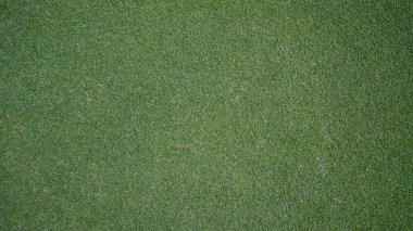 Yeşil çimen arka plan, bahçe manzarası yeşil arka plan yapmak için kullanılan parlak çimen konsepti, spor alanı için çimen, golf sahası yeşil çizgili doku arka plan                               