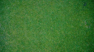 Yeşil çimen arka plan, bahçe manzarası yeşil arka plan yapmak için kullanılan parlak çimen konsepti, spor alanı için çimen, golf sahası yeşil çizgili doku arka plan                               