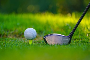 Golf sopası ve golf topu sabah güneşiyle çim tarlasına yakın. İlk kısa devrede golfe hazır..                                
