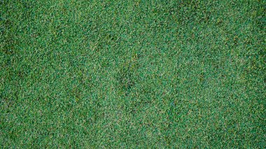 Yeşil çimen arka plan, bahçe manzarası yeşil arka plan yapmak için kullanılan parlak çimen konsepti, spor alanı için çimen, golf sahası yeşil çizgili doku arka plan