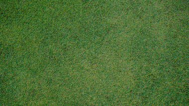 Yeşil çimen arka plan, bahçe manzarası yeşil arka plan yapmak için kullanılan parlak çimen konsepti, spor alanı için çimen, golf sahası yeşil çizgili doku arka plan