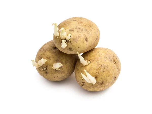Stapel van aardappelen met spruiten — Stockfoto