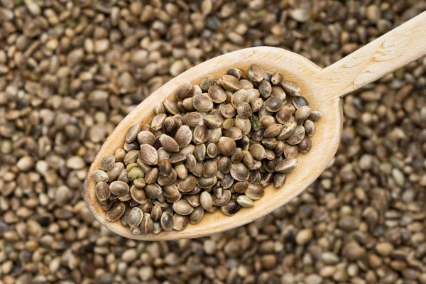 Wooden spoon with hemp seeds — Stock Photo, Image