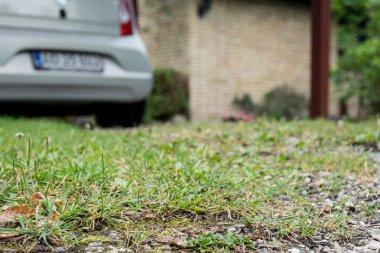 Çim ve araba ile driveway