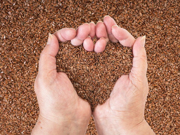 Linseeds in woman hands