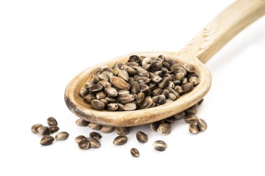 Kenevir tohumları bir tahta kaşık üzerinde